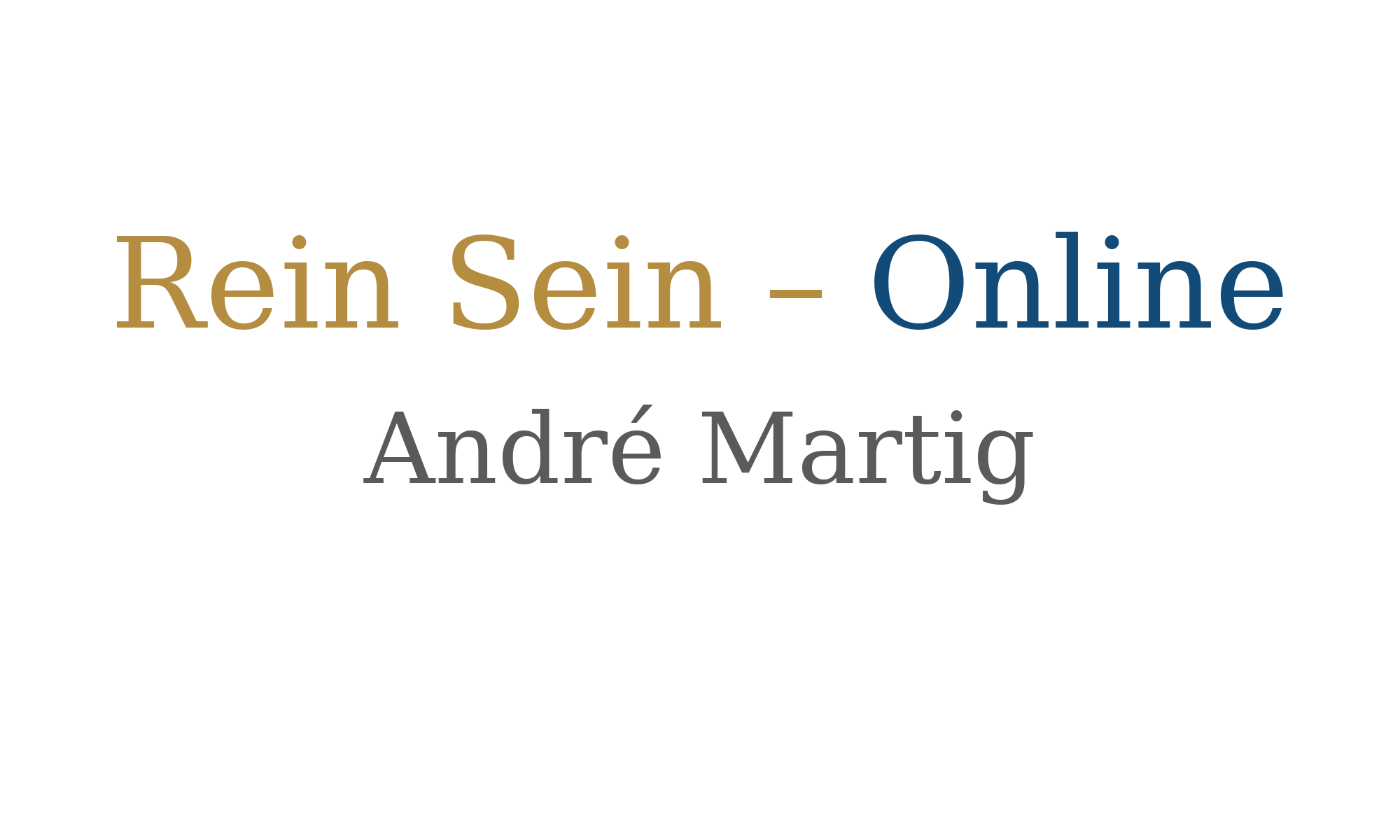 Rein Sein – Online Logo